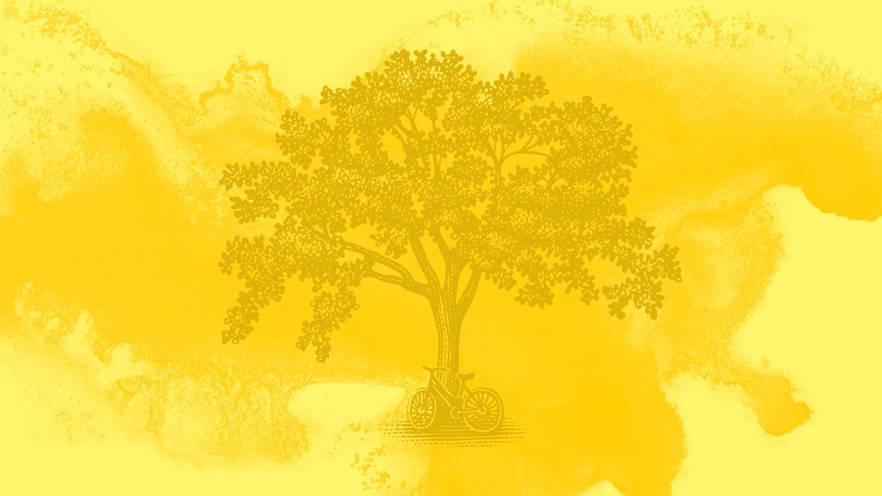 A woodcut illustration of a tree, in front of a yellow watercolor background. 