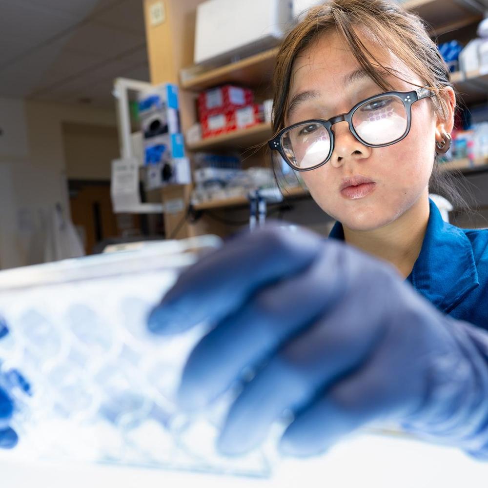 UC Davis student in lab