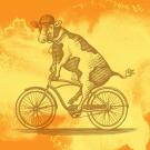 A woodcut image of a cow riding a bicycle, behind a yellow and orange watercolor background 